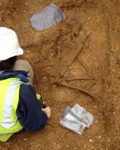 Warrior excavation. (c) MAP/PA